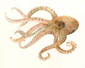 Octopus no. 2 Large Archival print of Watercolor painting