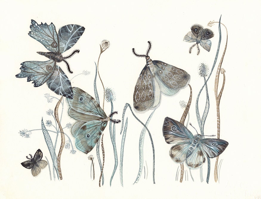 Moths No. 2        large print - amberalexander