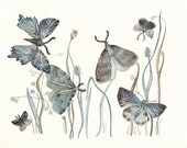 Moths No. 2        large print - amberalexander