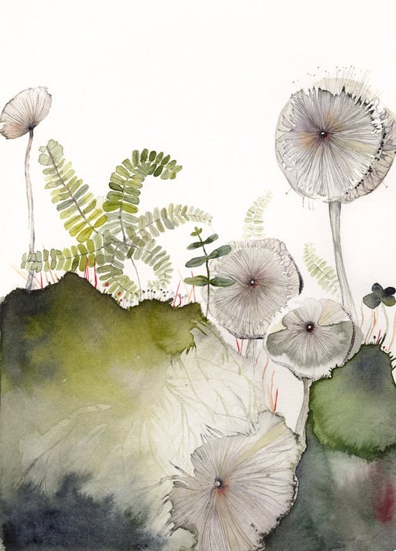 Maidenhair and Mushrooms Archival Print