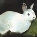 Darkness - Rabbit Art, Archival print