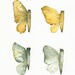 Butterfly Wings- Gold, teal, grey- archival print of original watercolor