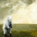 Homeless- Polar Bear Art