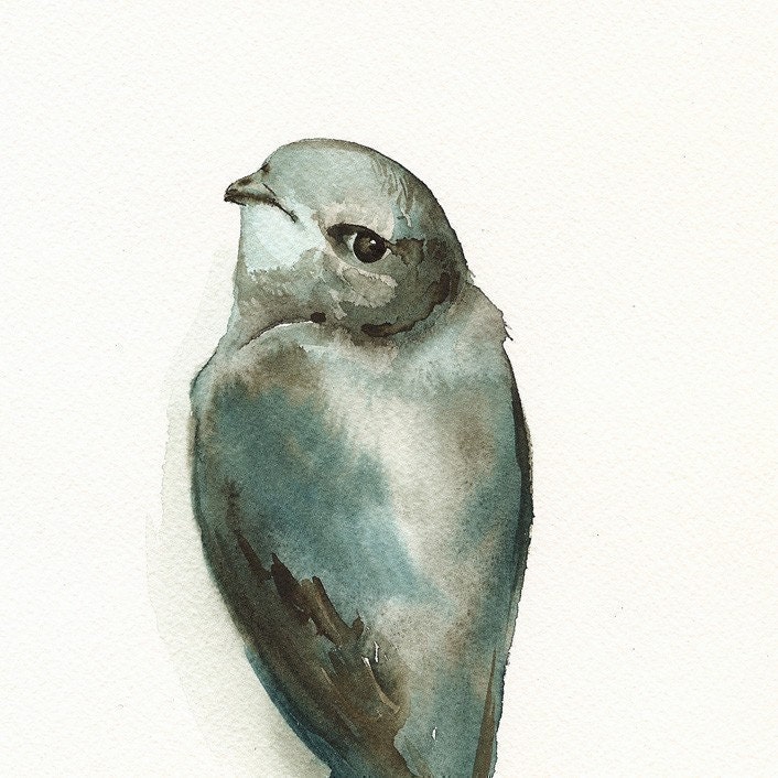 bird watercolor, decor, cottage, nature, grey, blue- "Miss Adorable" -Bird Art