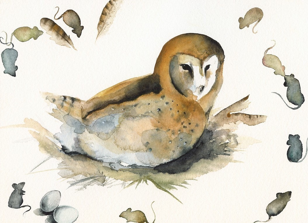 Molly the Barn owl Archival Print
