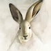 cottage decor-Rabbit Watercolor-nature-neutrals, cream, woodland,shabby chic, french country, nursery decor