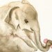 Elly- Archival print- baby elephant, nursery, children, girl, art