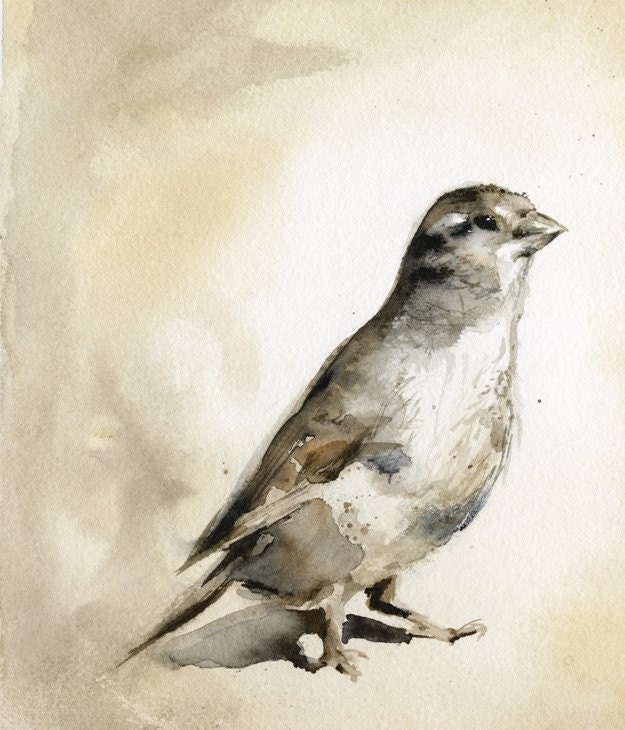 Sparrow. Bird Art-sepia, autumn, earth tones, home decor