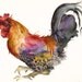 Rooster in Magenta and Gold- archival print