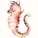 Coral Seahorse- seahorse print- nautical decor