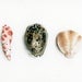 seashell art, Summer cottage Decor, seashell, minimalist, cottage chic, beach house, ocean