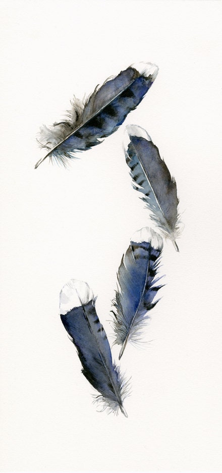 watercolor feathers, feather art -Blue Jay Feathers - 13 x 19" Archival print, minimalist, blue, bird feathers, natural home decor