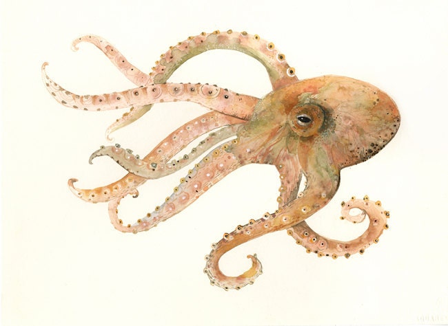 Octopus no. 2 Large Archival print of Watercolor painting