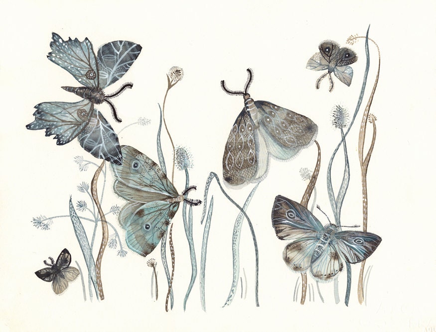 Moths Watercolor- watercolor painting reproduction- Moths No. 2 grey, blue, taupe 8 1/2 x 11" print