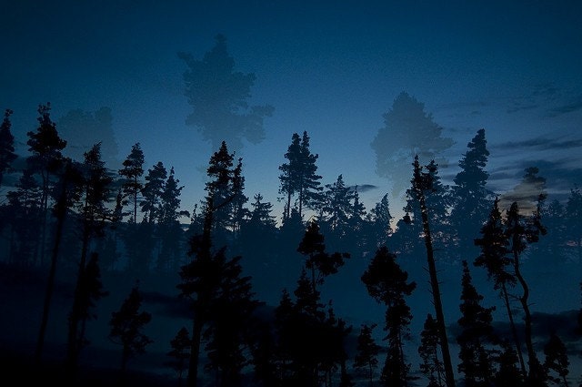 Magical Forest nature photograph, woodland artwork, surreal dark blue photo, dreamy trees wall art decor. 8x10 fine art photography print