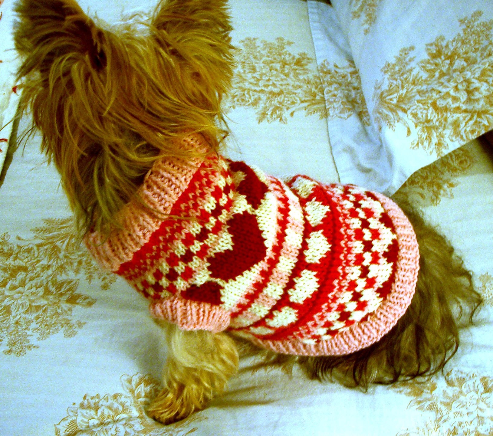 Puppy Love Fair Isle Dog Sweater Knitting Pattern
