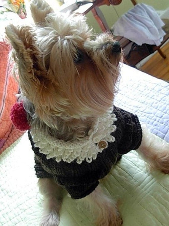 ROOT BEER FLOAT Original Dog Sweater Knitting Pattern \/ NEW