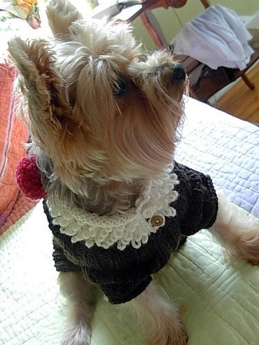ROOT BEER FLOAT Original Dog Sweater Knitting Pattern \/ NEW