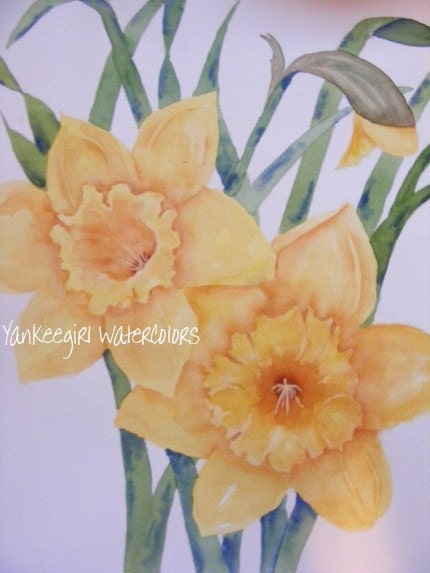 Daffodil Days-Original Watercolor