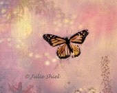 A Little Bit of Magic -Art Photography, Monarch butterfly fantasy, Botanical, Trail of Light, Home Nursery Wall Decor, pink, gold