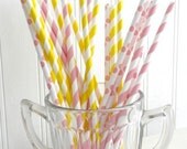 Strawberry Lemonade Paper straw Mix 25 Il_170x135