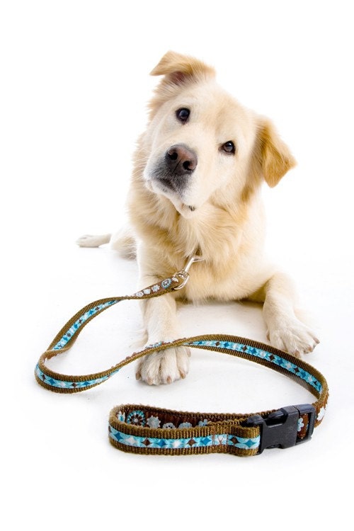 Love Your Mutt Paisley double sided leash and collar set