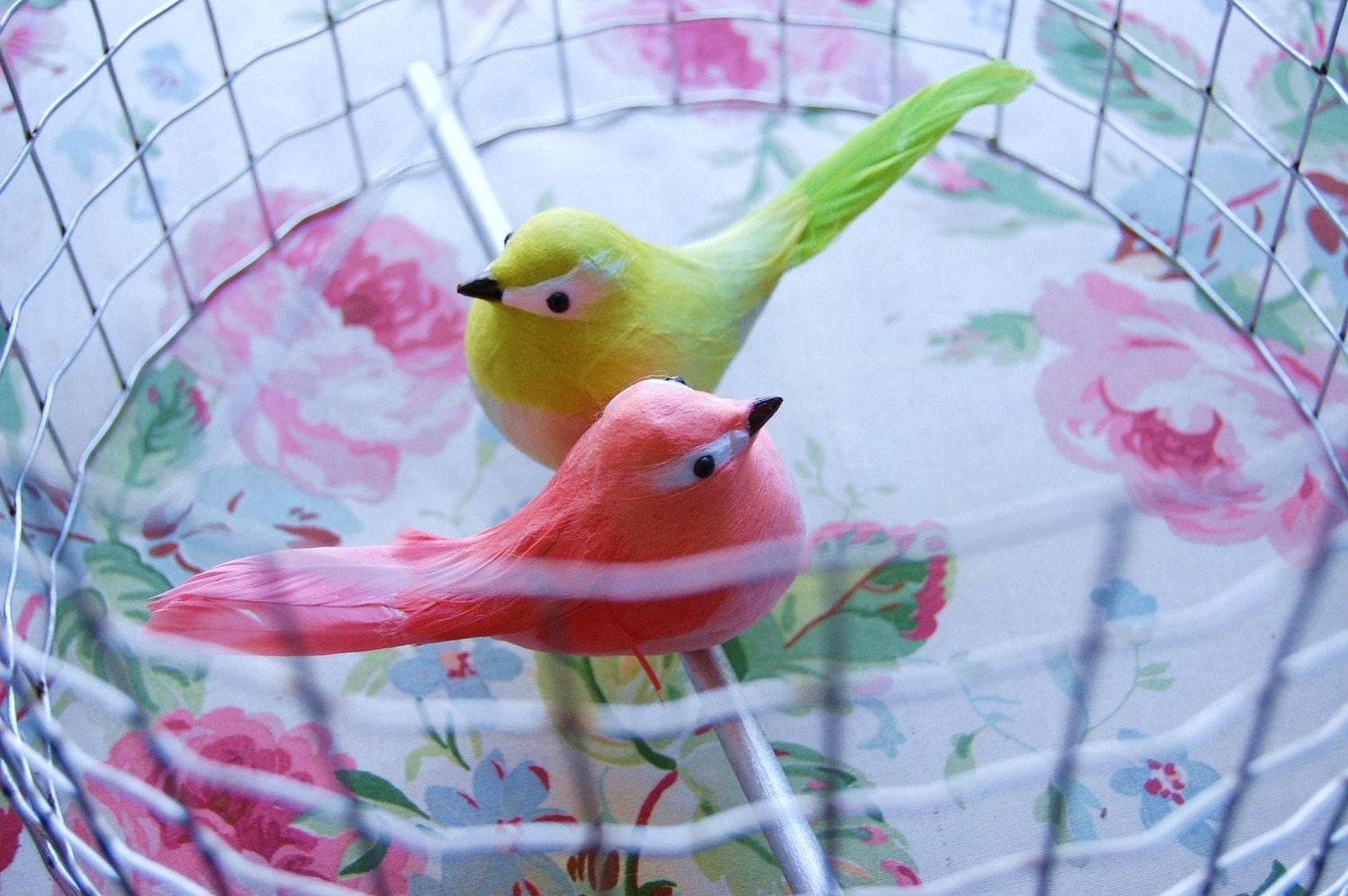 lovebirds birdcage chandelier