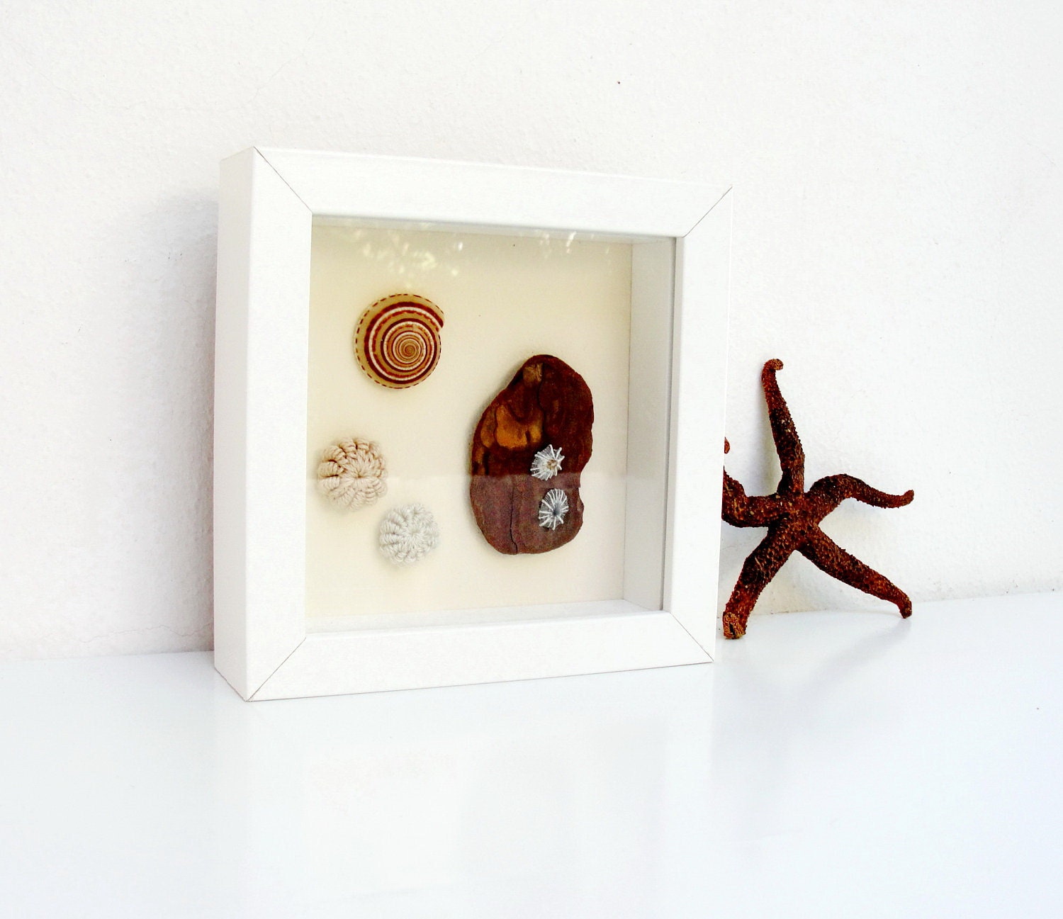 Sea Creatures- Beach Finds in a Frame No.2