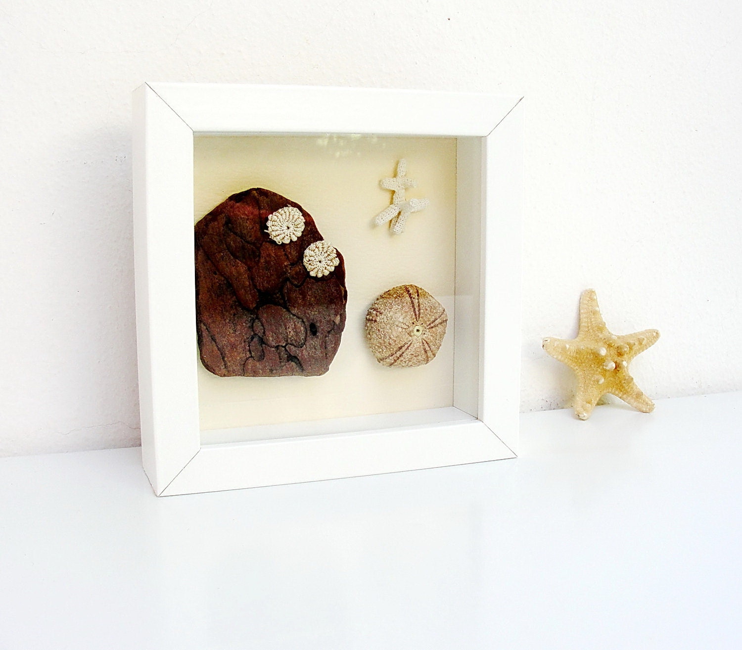 Sea Creatures- Beach Finds in a Frame No. 3