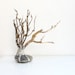 The Birds Tree - Wood Branches Metal Birds and Roots