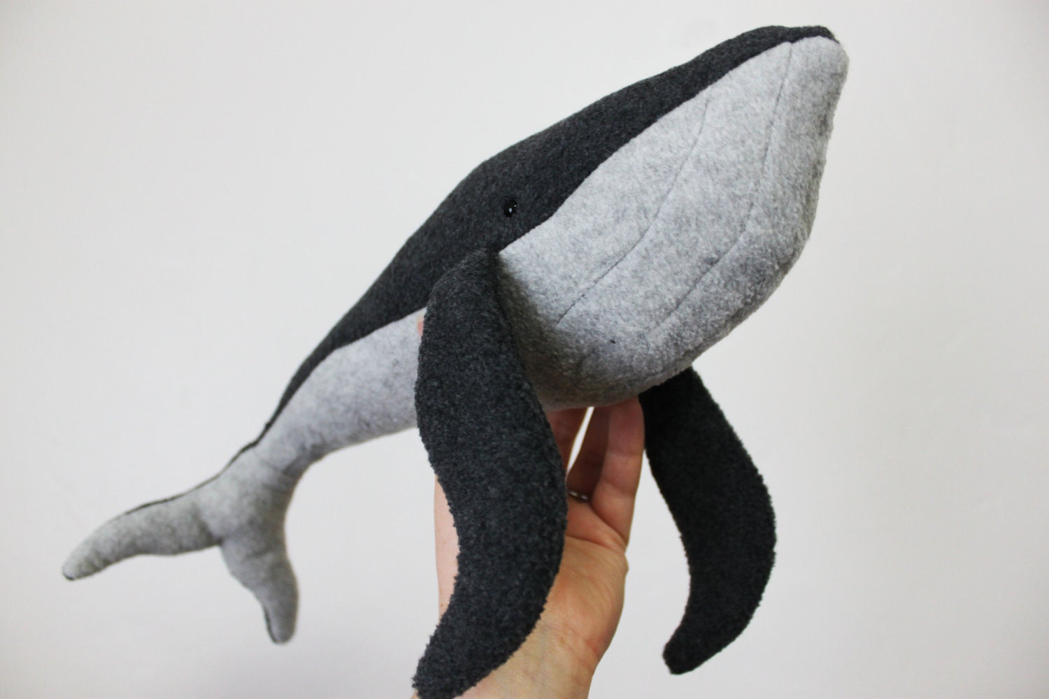 Hugo the Humpback Whale