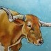 Print Cow 291 18x24 inch Print from oil painting by Roz