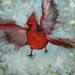 Cardinal painting 37 male bird 12x12 inch original oil painting by Roz