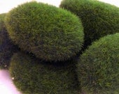Green Fake Terrarium Moss Rocks for Miniature Garden and Floral Craft - Oceansupplies
