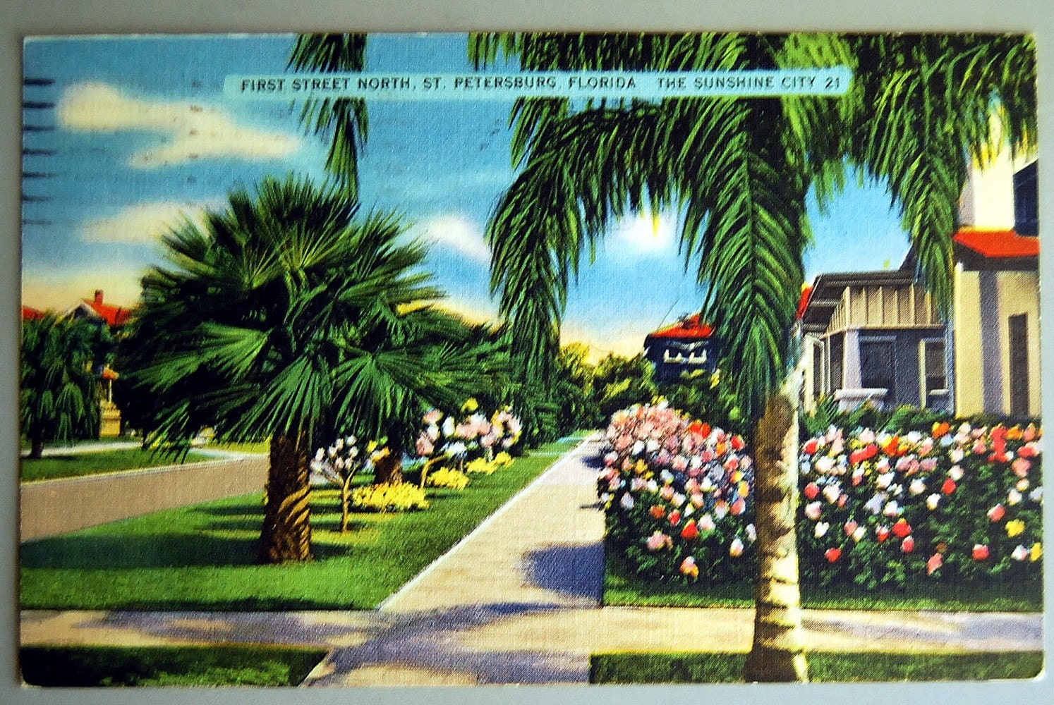 Vintage Postcard Florida 1940s St. Petersburg, Garden with Palm Trees