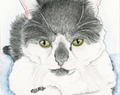 Tuxedo Kitten Cat Original Drawing Art-Carla Smale