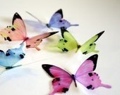 B050 - 12 x 3D Butterflies Suitable for Scrapbooking, Weddings and Decorations
