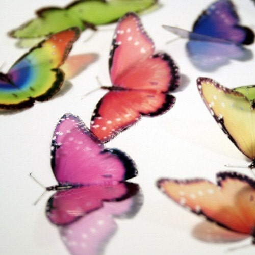 B008 - 12 x 3D Queens Butterfly