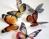 12 x 3D Natural Transparent Butterflies for use in Decorating or as a Craft Supply