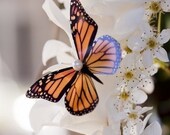 Wedding Special 100 Pack of Butterflies