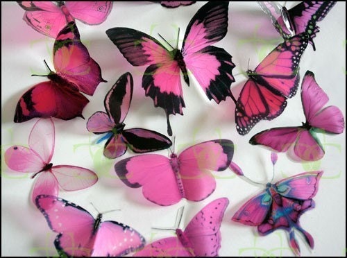 12 x Mixed Pink 3D Transparent Butterflies 