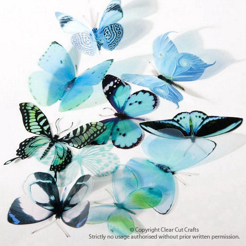 6 x Special Aqua 3D Butterflies great for Weddings, Crafts