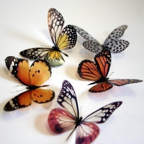 12 x 3D Natural Transparent Butterflies for use in Decorating or as a Craft Supply