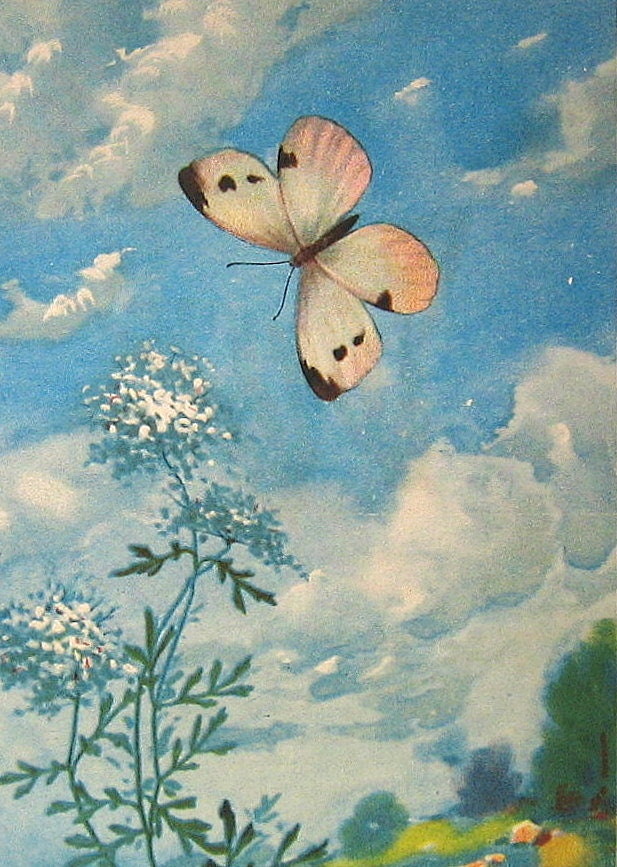 Vintage 1917 2 Sided Butterfly Book Plate Baltimore Zebra Swallowtail, Cabbage Butterfly