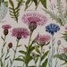 1965 British Flowers Vintage Book Plate Scottish Thistle, Milk Thistle, Star Thistle P49