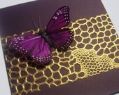 Eggplant Butterfly