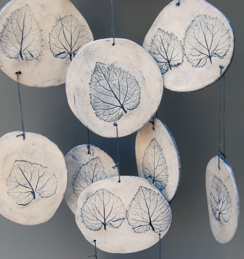 Jumbo Blue Chime, aspen-like leaf