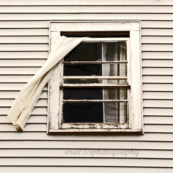Rustic Photography - 8x8 inch Photograph of a Farmhouse Window- "Fly Through The Window" - ara133photography