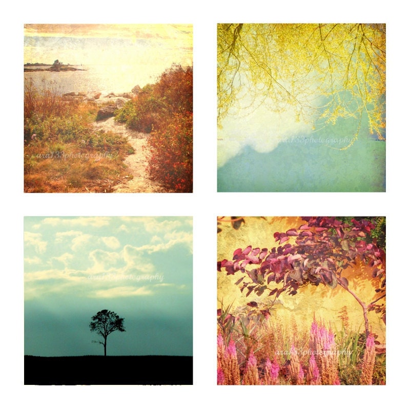 Rustic Photographs,  Nature Photography, Ocean, Landscape, Tree, Yellow, Pink, Blue, Teal - Set of Four 5x5 inch Prints
