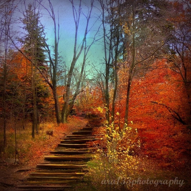 Autumn Photography - 5x5 inch Photograph - "Fall as I Remember It" - ara133photography